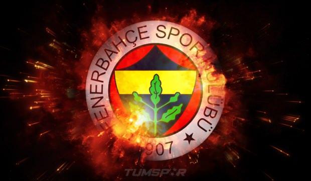 Fenerbahçe, kadın futbol takımı kuruyor!